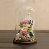10*25cm Big Size Transparent Glass Dome Vase Home Decoration Antique Base Cover DIY Friend Birthday Gift Wedding Live Prop 2