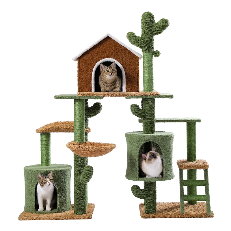 S397d26d6b1654b8f99928a72637976e3F