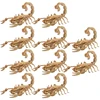 Assemble Model Wooden Jigsaw Puzzle DIY Model Animal Toy Assembly Gift For Children Adult Teens 1