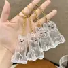 Dog Hair Collection Pendant Hair Storage Box Charm Pet Cute Keychains Clear Plastic Pet Hair Capsule Souvenirs DIY Gifts 3