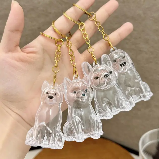 Dog Hair Collection Pendant Hair Storage Box Charm Pet Cute Keychains Clear Plastic Pet Hair Capsule Souvenirs DIY Gifts 3