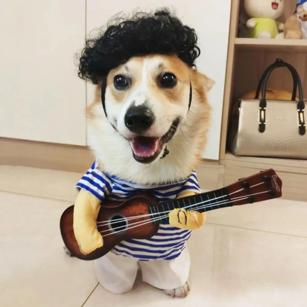 애완동물용 재미있는 기타 의류, 강아지 세트 카우보이 드레싱 액세서리, 고양이 용품, 애완동물 라이더 스타일, 강아지 P1H5
