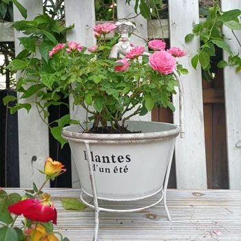 Vintage Iron Planter with High Foot Design 1