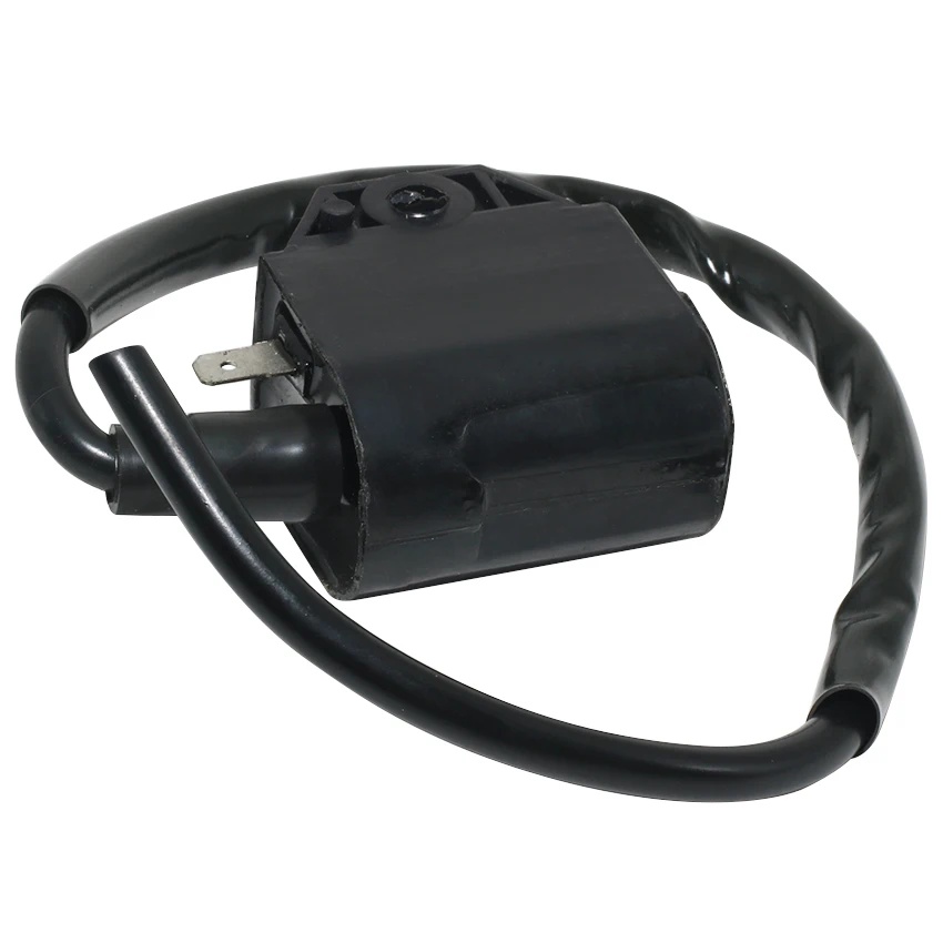 Motorcycle Boat Ignition Coil Assy For Suzuki AN125 Burgman 2007