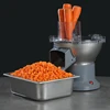 110V/220V Electric Dicing Machine Automatic Vegetable Cutter Potato Dicer Commercial Dicing Machine Fruit Carrot Dice Cutter 1