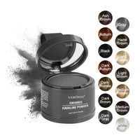 Hair Line Powder 4g Black Root Cover Up Natural Instant Waterproof Hairline Shadow Powder Hair Concealer Coverage 14 color 1