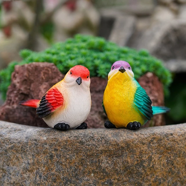 Accessoires oiseaux de jardin et autres animaux