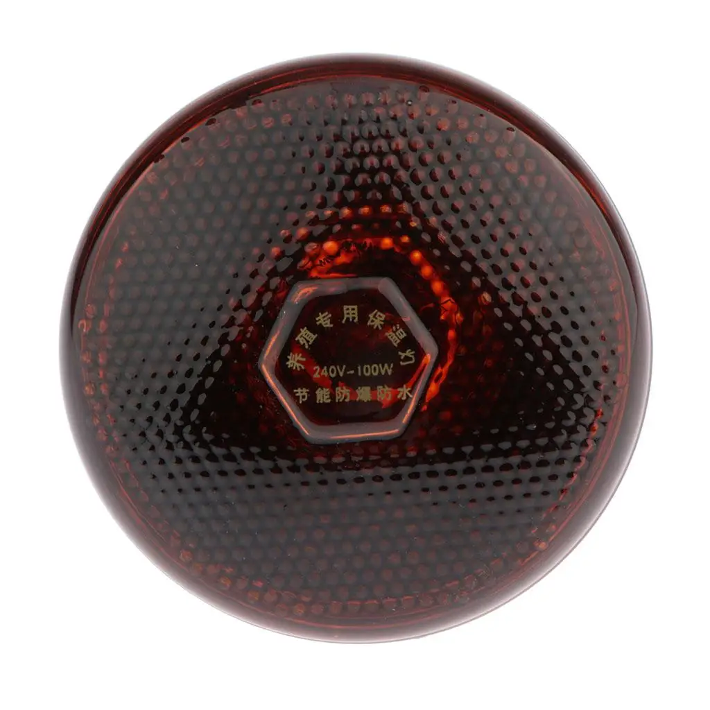 Waterproof E27 Heat Light Bulb Breeding Lamp Infrared Heater Bulbs