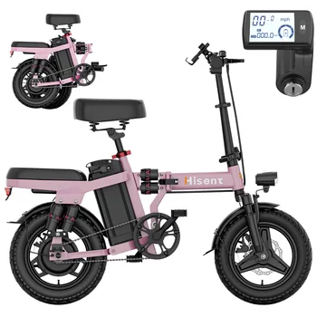 Folding Electric Bike 1