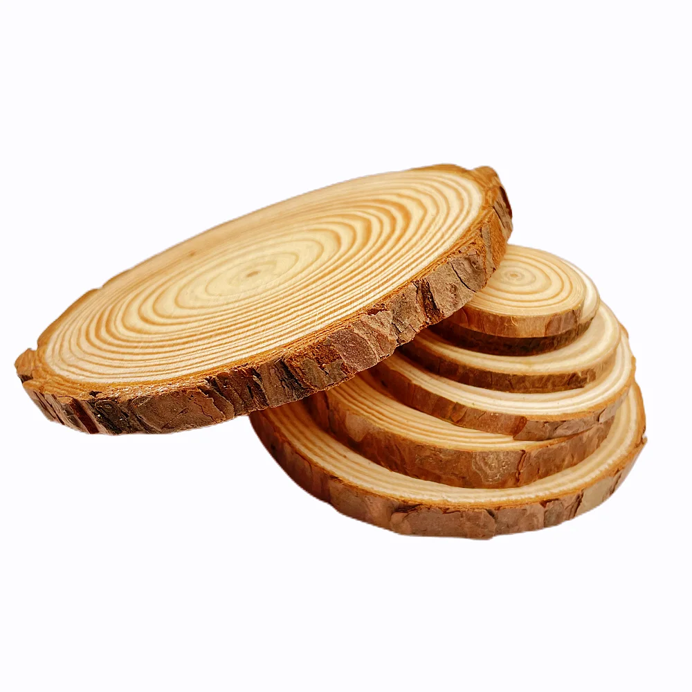 Natural Wood Slice Discs 6