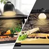 Reptile Heating Lamp UVA+UVB Turtle Basking UV Light Bulbs Lizard Reptile Pet Daylight Lamp Amphibians Temperature Controller 6