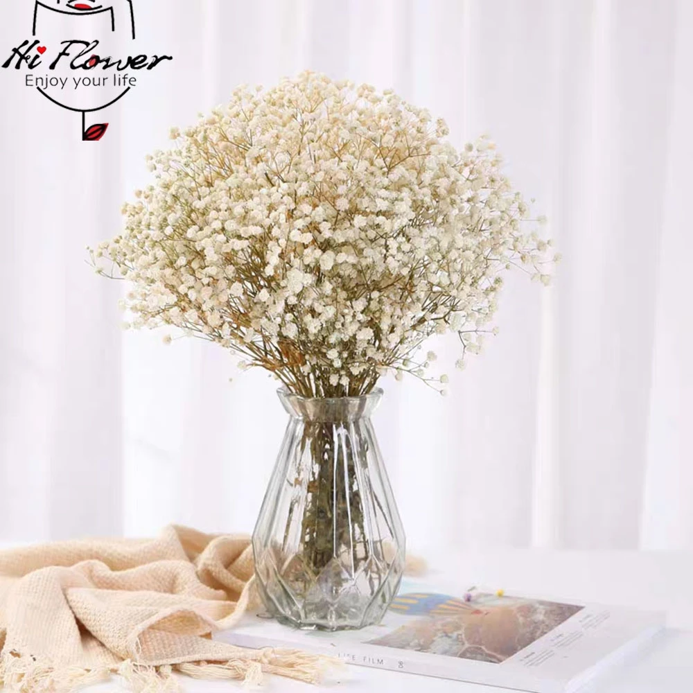 Dried Baby Breath Flowers Bouquets Colorful White Gypsophile Natural