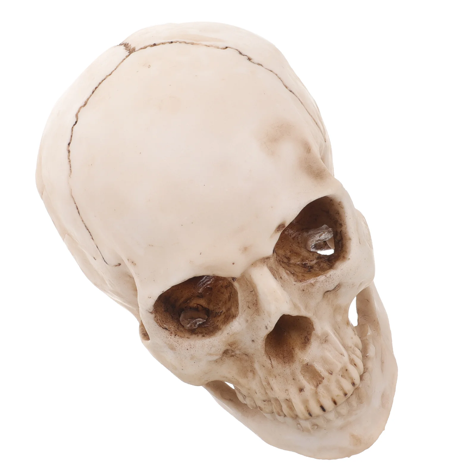 

Копия человеческого черепа, декор на Хэллоуин, Модель 1:1, нарядное платье для взрослых, животное