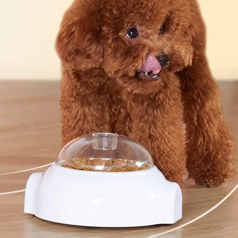 ��ȭ �� �� ġ�� ���漭 ������ ġ�� �Ѹ� ���漭 ���� ���� ���� �Ǵ� ������ �������� ���� �Ʒ� �峭��