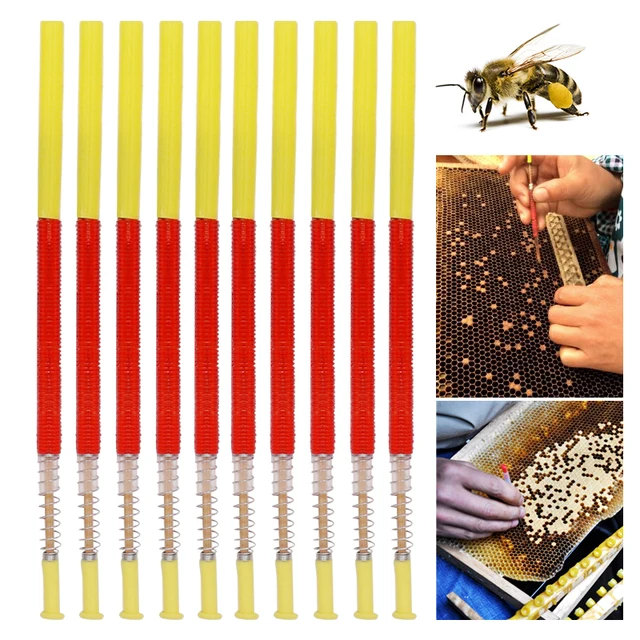Méhészeti Oltó Szerszám Méhkirálynő Lárva Apikultúra Behúzható Oltóberendezések Méheszközök Mozgatása Férgek Tűk 5/10/15 Pcs - Image 4