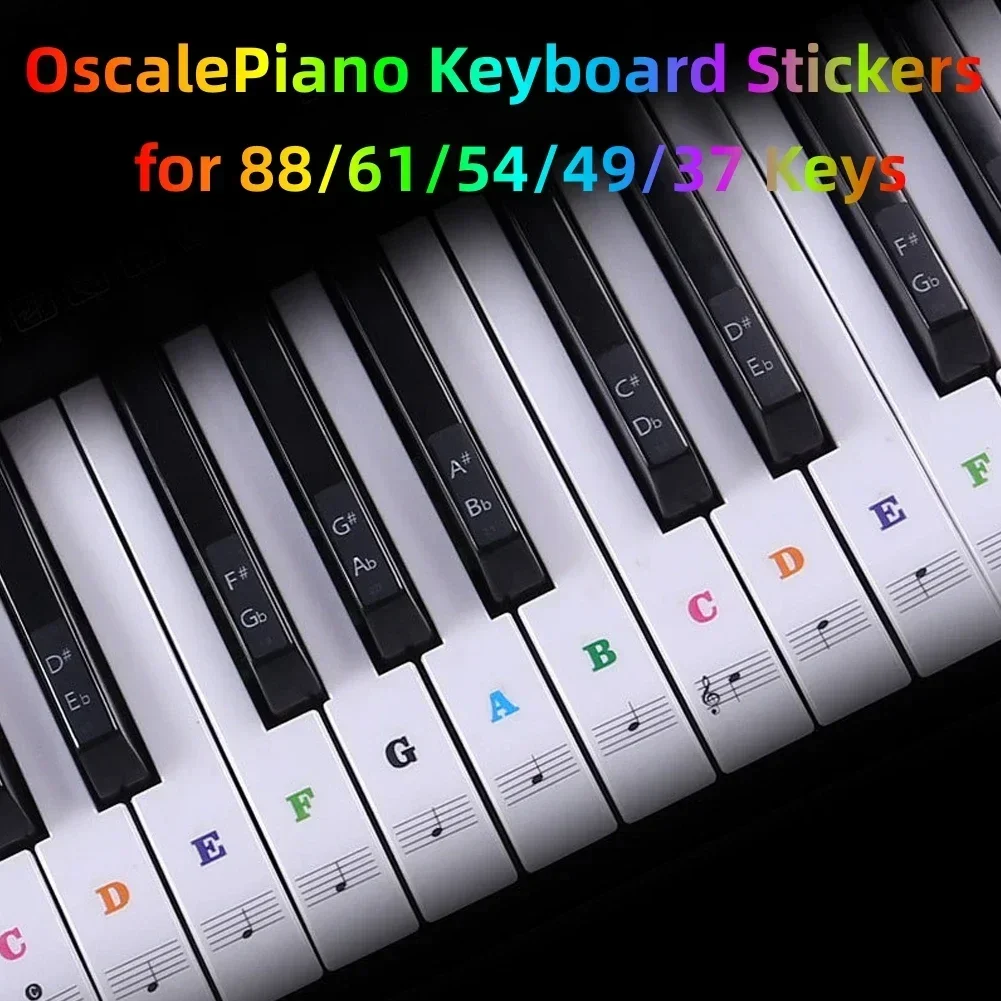 Piano Keyboard Sticker Note Beginner Colorful Transparent 22.7 * 24.6cm For 88 61 54 49 37Key Keyboard Stickers