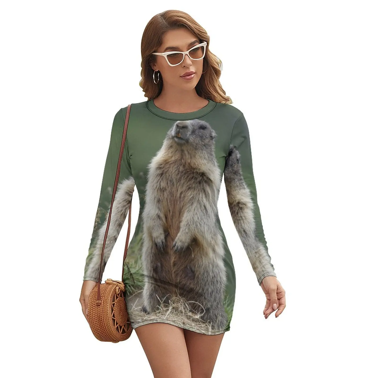 

Marmota marmota Long-sleeved Dress Clothing beach outfits for women