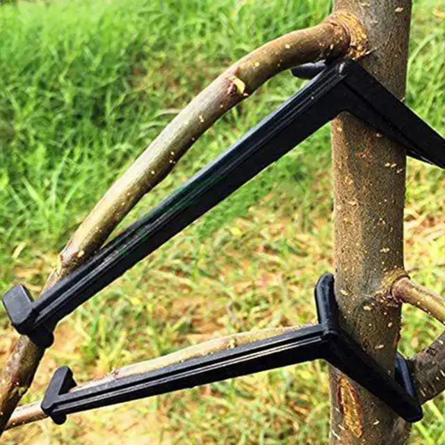 Támogatás Kényelmes A Nagy Keménységű Ág Támogatási Keretének Használata Érdekében - Image 3