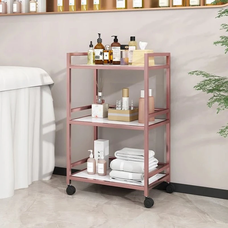 Luxury Salon Trolley Professional Barber Chariot Spa Equipment Chairs Organizers Tool Cart Mueble Con Ruedas Salon Furniture multi layer storage trolley