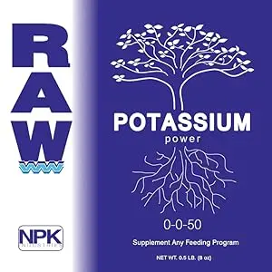 RAW Potassium