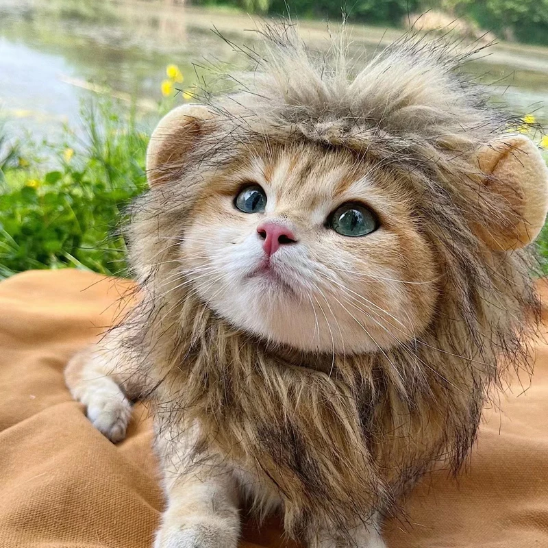 Cute Lion Mane Cat/Dog Costume Wig