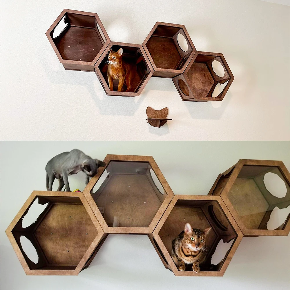 Acrylic Glass Window Cat Bed Furniture Wall Pet Toy Hexagon Cat Shelves Wood Climbing Shelf