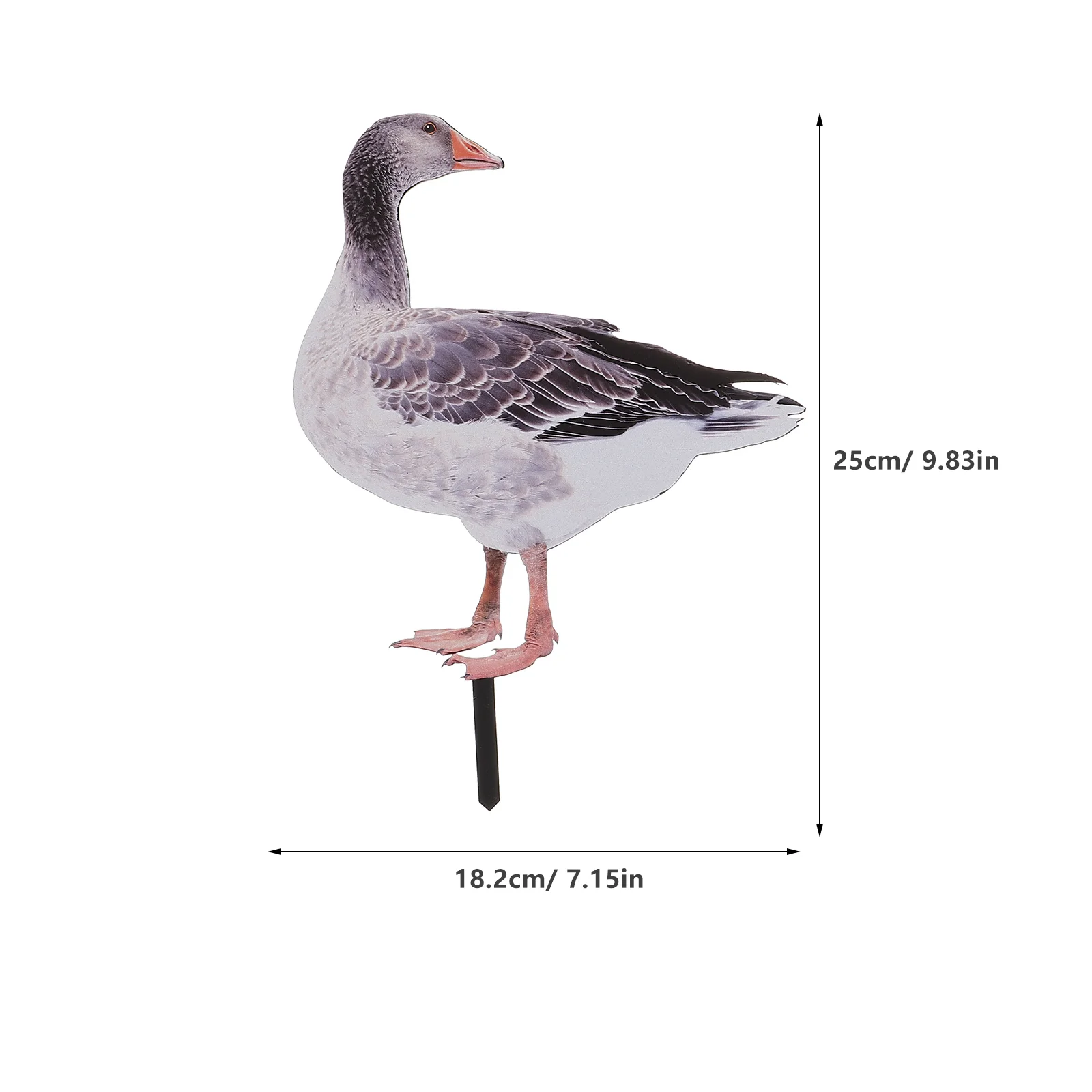 ߿     , ǹ  ũ ݷ   ܵ , 