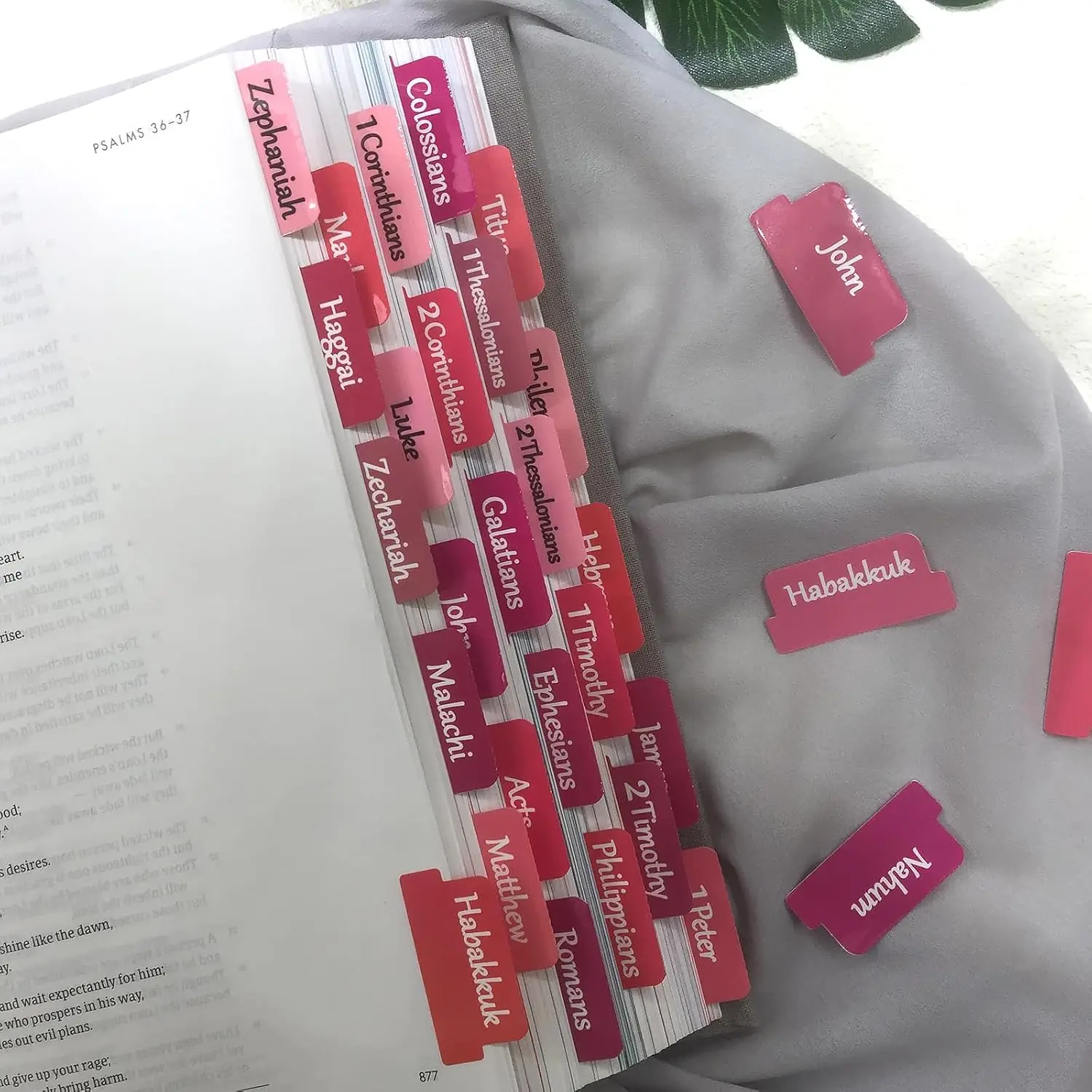 Rose Pink Bible Tabs Large Print Laminated Bible Tabs for Women and Girls Easy to Read Bible Book Tabs for Study Bible Index Tab 5