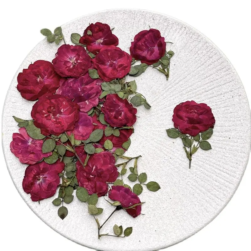 New Rose on Stems Pressed Flower For Wedding Decoration Gift Cards Bulk Packing 60Pcsflower