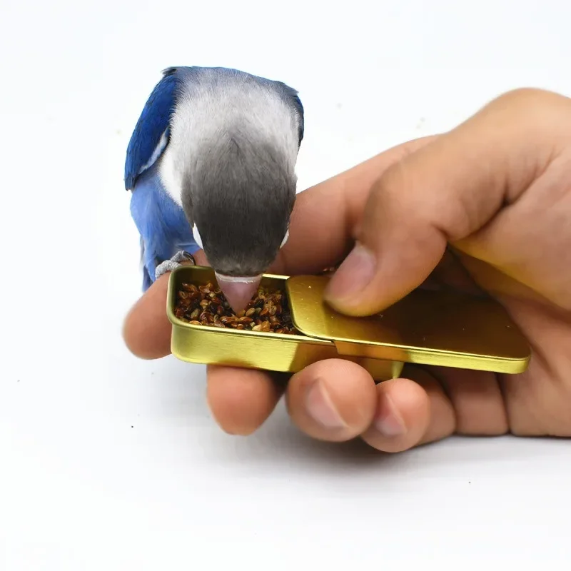 1 Pcs Bird Feeding Handheld Feeder Mini Feeding Box Multiple Colors Training Food Jar Growth Interactive Toy