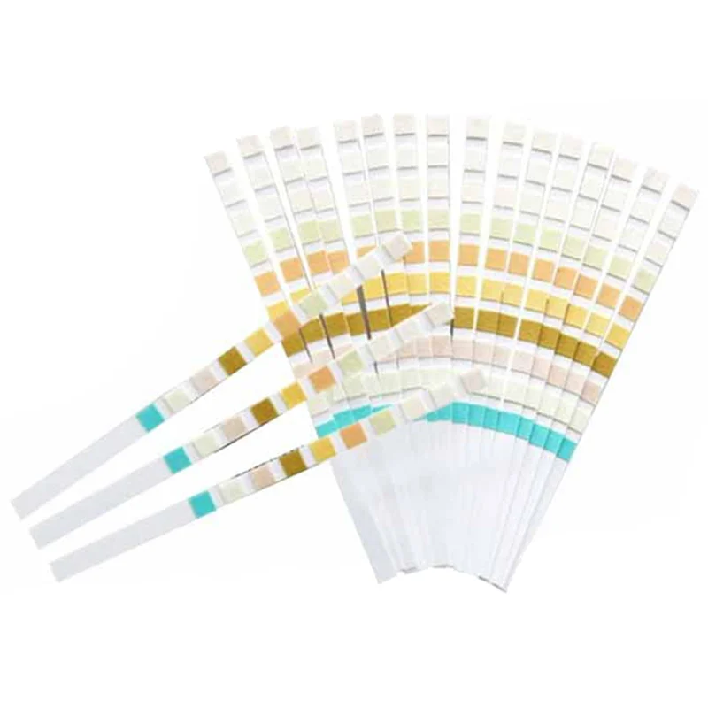 100 Strips Urine Test Strip 10 Parameters 5