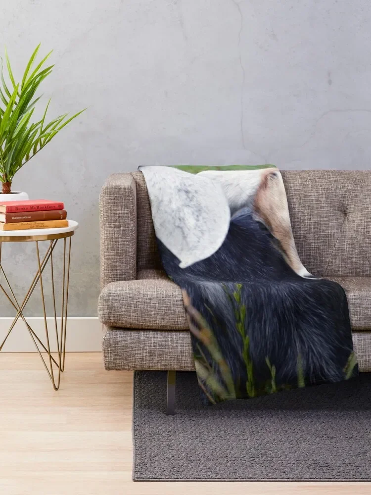 �� �ε巯�� ���� ���� ���,  ���� ������ ���, ���� ������