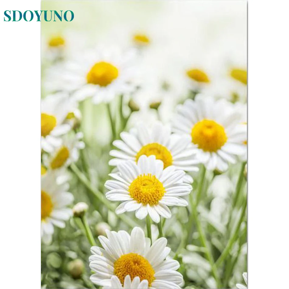 

SDOYUNO 20x30 см Diy Искусство стен с цветочным пейзажем Картина на холсте акриловая Раскраска по номерам домашний декор