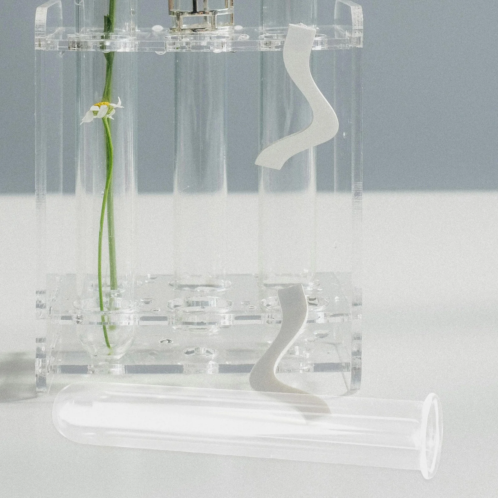 4 Pcs Hydroponic Test Tube Vase Terrarium Plant Propagation Tubes Flower Mini Vases Transparent Glass Flowers 5