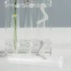 4 Pcs Hydroponic Test Tube Vase Terrarium Plant Propagation Tubes Flower Mini Vases Transparent Glass Flowers 5