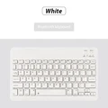 White-no mouse