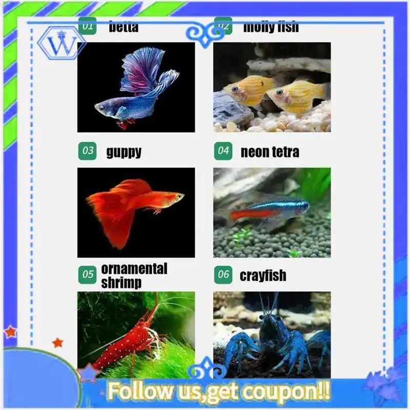 Easy To Use Fish Breeding Box Double-Layer Acrylic Breeding Tank Isolation Box Transparent Detachable Hatching For Guppy Shr