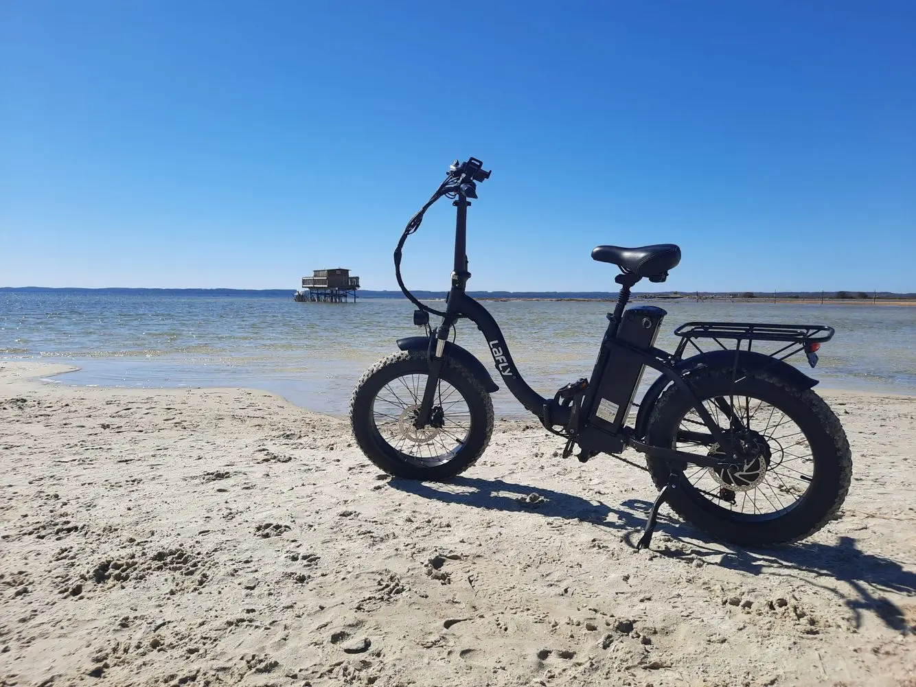 Lafly E-bike 電動自転車 1000W 48V 15ah
