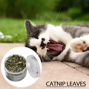 Natural Catnip 5