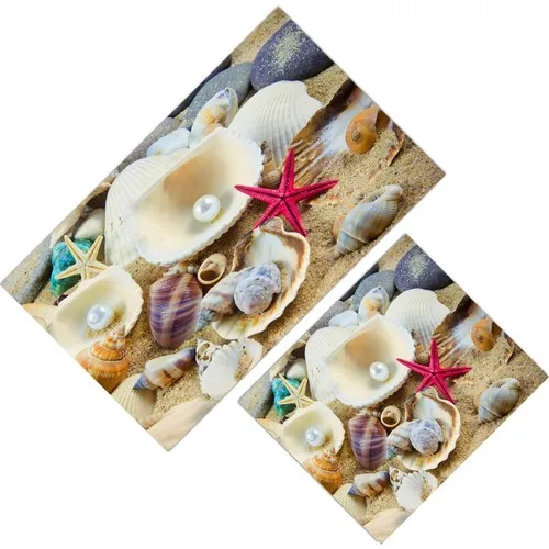Cici Design Sandy Beach Conchiglie Di Mare E Star Closet Takımı-60X100-50X60