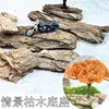Model Handmade Platform with Dead Wood Base Model Tree Base Scenery Soldier Land Landscape Architecture World War II Ruins Rocks 2
