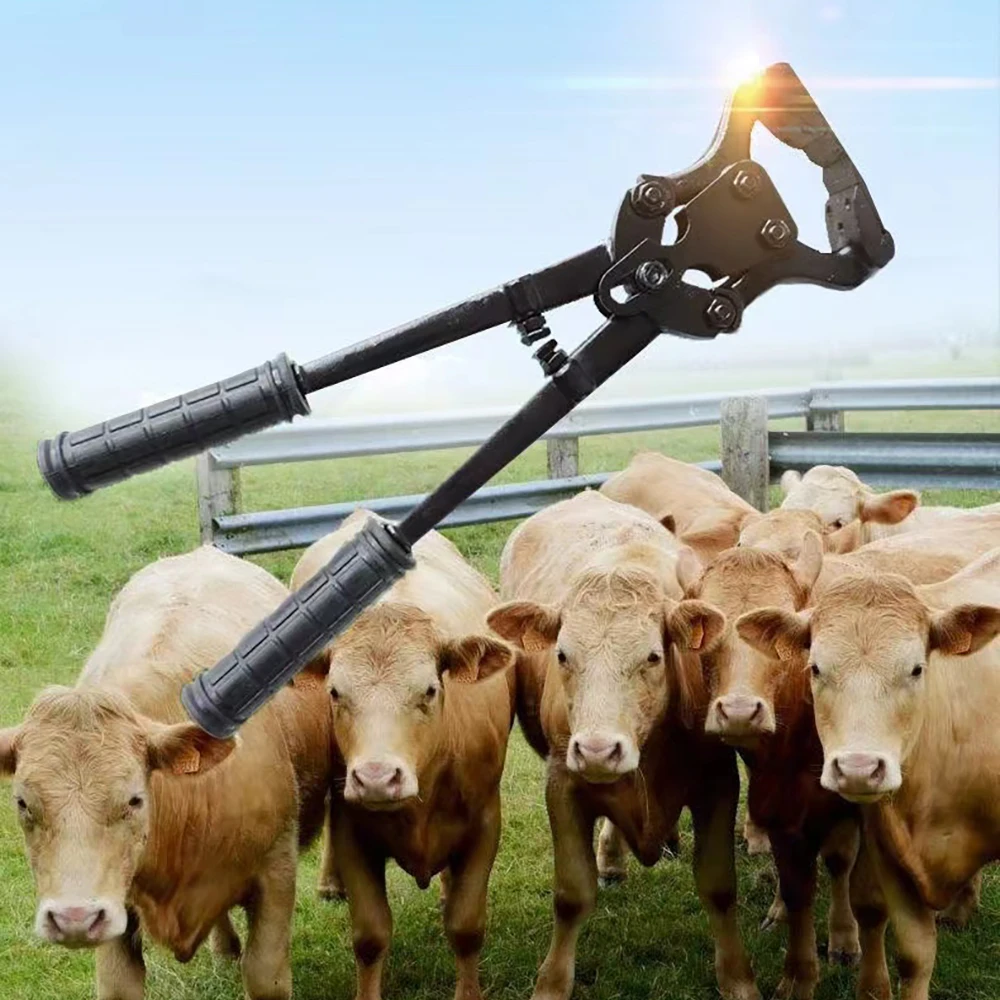 

Cattle Horse Trimmer Livestock Veterinary Equipment Farming Animals