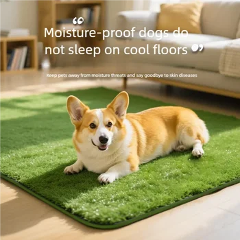 Artificial Grass Pet Mat 1