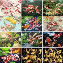 

PhotoCustom Full Square 5D Daimond Painting Art Kits Animals Diamond Embroidery Fish Mosaic Home Decor