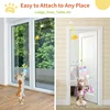 Cat Toy Hang on The Swing Hang on The Door Hang Elastic Feather Toy 2