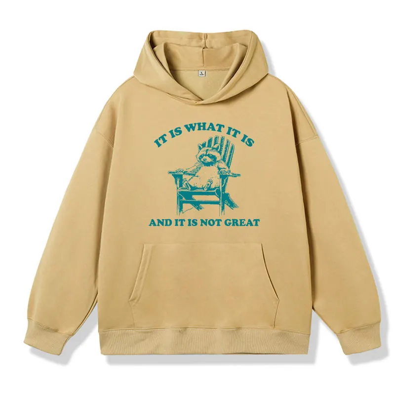 Lt Ls What It Ls and It Ls Not Great Funny Raccoon Graphic Hoodie Men's Autumn and Winter Fashion Oversized Sweatshirt Pullover
