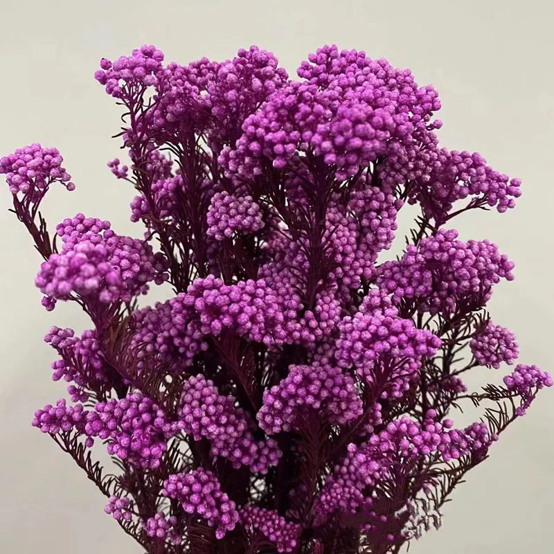 50g Natural Plant Dried Flower Preserved Fresh Immortal Millet Flower