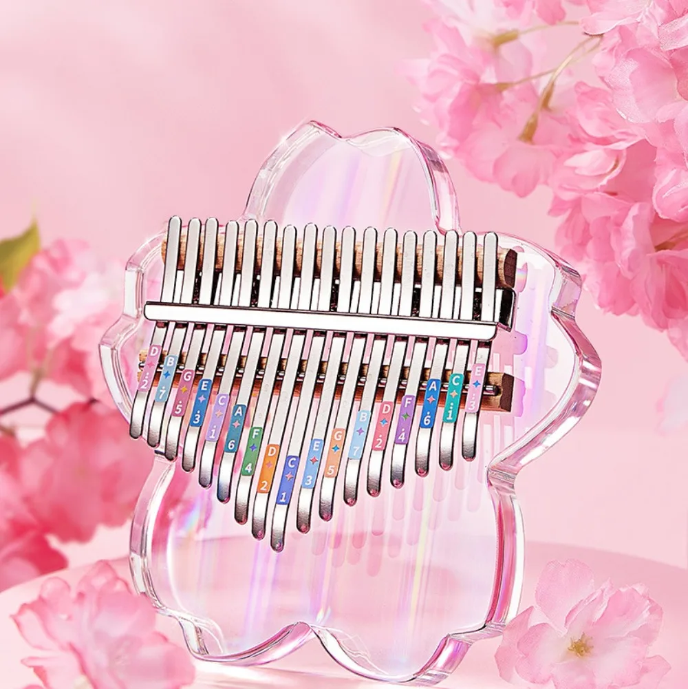 NINO34 Ocean Drum, Tamburo Oceano 10 Pollici - Suoni Rilassanti Per Bambini E Musicoterapia - Foto 10