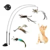 Simulation Bird Interactive Funny Cat Stick Toy Furry Feather Bird With Bell Sucker Cat Stick Toy Kitten Playing Pet Accessories 6