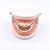 Dental Orthodontic Treatment Teeth Model With Bracket Arch Wire Buccal Tube Ligature Ties Dentist Lab Tooth Model Teaching Tools 4